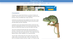Desktop Screenshot of chameleoncare.net